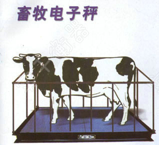 上海1吨动物电子秤厂家供应